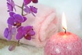 Pink orchid spa Royalty Free Stock Photo