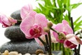 Pink orchid, stack of stones Royalty Free Stock Photo