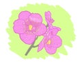 Pink Orchids flower on green