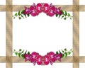 Pink orchids and ivy border