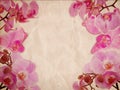 Pink orchids on retro grunge background Royalty Free Stock Photo
