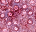Pink Organic Abstract Pattern Intricate Cellular Design Royalty Free Stock Photo