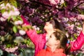 Pink is our favorite. Children enjoy spring garden. Sakura garden. Sisters walk park sakura trees. Kids pink flowers of Royalty Free Stock Photo