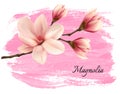 Pink paint magnolia branch banner.