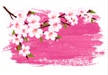 Pink paint sakura branch banner. Royalty Free Stock Photo
