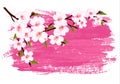 Pink paint sakura branch banner.