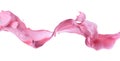 Pink paint splash