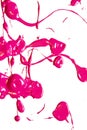 Pink Paint Splats and Abstract Background Decoration