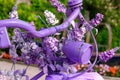 Pink painted bicycle ornamented with lavender Royalty Free Stock Photo