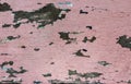 Pink painted old wooden wall. Textures, colors and wood cracking Royalty Free Stock Photo