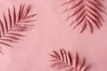 Pink palm leaves