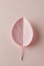 Pink Paper Leaves Frame on Soft Pink Background. Royalty Free Stock Photo