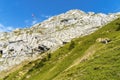 Pink Parasail Rock Cliffs Pastures Climbing Mount Pilatus Lucerne Switzerland Royalty Free Stock Photo