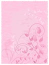 Pink Parchment Rose Design