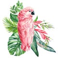 Pink parrot, Colored Palm leaves, flowers. Tropical composition, hand drawn watercolor botanical painting. jungle card Royalty Free Stock Photo