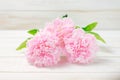 Pink pastel artificial carnation flowers