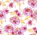 Pink pastel elegant roses on white background.