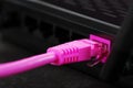 A pink patch cord is inserted into the router`s Wi-Fi port to access the Internet. Internet connection over a wire with a router