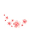 Pink Peach flowers isolated on white background. Apple-tree flowers. Cherry blossom. Vector EPS 10 cmyk