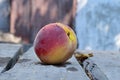 A pink peach lies on an old wooden table surface Royalty Free Stock Photo