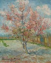 Pink peach trees Souvenir de Mauve, painting by Vincent Van Gogh Royalty Free Stock Photo