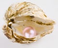 Pink pearl Royalty Free Stock Photo