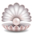 Pink pearl in the seashell