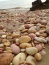 Pink pebbles on the beach