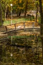 Pink Pelican resting on a wooden bridge across the lake in the a Royalty Free Stock Photo