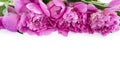 Pink peonies at border of image with copy space for text. Top view