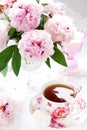 Pink peonies and cup of tea Royalty Free Stock Photo