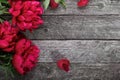 Pink peonies flowers on rustic wooden background. Selective focus Royalty Free Stock Photo