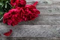 Pink peonies flowers on rustic wooden background. Selective focus Royalty Free Stock Photo