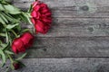 Pink peonies flowers on rustic wooden background. Selective focus Royalty Free Stock Photo