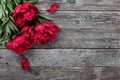 Pink peonies flowers on rustic wooden background. Selective focus Royalty Free Stock Photo