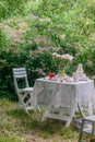 Pink peonies in a glass vase and books in lilac covers,