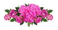 Pink peonies and rose flowers in a line floral arrangement