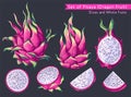 Tropical fruit set. Dragon fruit, Pitaya, Hylocereus undatus. Royalty Free Stock Photo