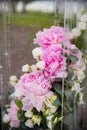 pink peonies stand in glass vase, a drop of water flows down the glass Royalty Free Stock Photo