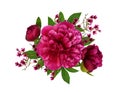 Pink peonies and waxflowers and leaves in a floral arrangement Royalty Free Stock Photo