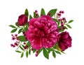 Pink peonies and waxflowers and leaves in a floral arrangement Royalty Free Stock Photo