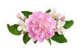 Pink peony and apple flowers and leaves in a floral arrangement isolated