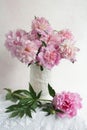Pink peony bouquet Royalty Free Stock Photo