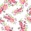 Pink peony bouquet floral botanical flowers. Watercolor background illustration set. Seamless background pattern. Royalty Free Stock Photo