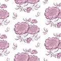 Pink peony floral sketch. Royalty Free Stock Photo