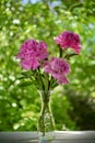 Pink Peony Flowers Bouquet In Vase Royalty Free Stock Photo