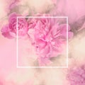 Pink peony flowers square gift card with white frame and copy sp Royalty Free Stock Photo