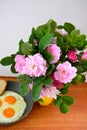 Pink peony flowers stand in a yellow vase. A bunch of flowers and fried eggs in a frying pan