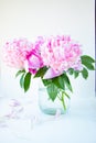 Pink peony flowers in a white glass jar on a white background. Still life with garden flowers Royalty Free Stock Photo