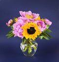 Pink peony flowers and yellow sunflowers in a glass vase on dark blue background Royalty Free Stock Photo